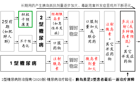 1型2型糖尿病恶化进程演化图